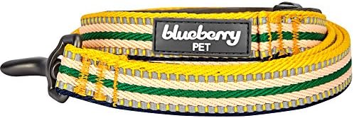 Каишка за кучета Blueberry Пет 3 М, Отразяваща в Разноцветную Ивица, с Мека и удобна дръжка, 4 фута x 1 инч, Жълто-Зелен, Голям, Каишки за Кучета