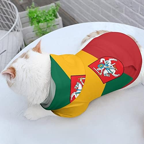Нов Флаг за Литовската Котки, една част Риза, Модерен Костюм на Куче, с Шапочкой, Аксесоари за Домашни Любимци