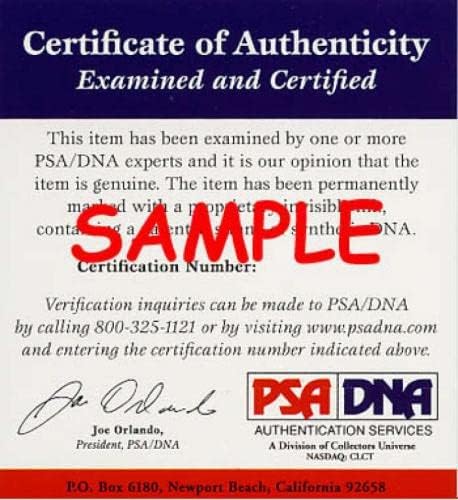 Винс Колман Подписа ДНК PSA 8x10 Кардиналите с Автограф на снимки - Снимки на MLB С автограф