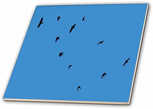 3dRose Taiche - изображението на Кръста - Гарвани - Силует на Убийството врана В полет - Плочки (ct_351206_1)