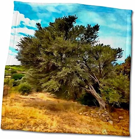 3dRose Taiche - Живопис акрил - Маслиново дърво - Olive Tree - Кърпи (twl-273667-3)