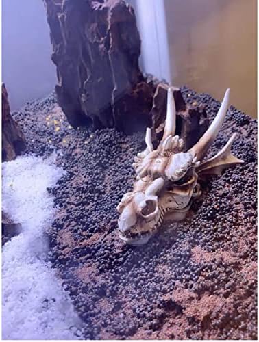 Украса за аквариума и аквариумните рибки AzjioLi, терариум от кожи на влечуги, Декорация - Имитация на черепа на дракона (средно)
