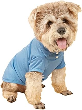 QWINEE Тениска-с къси ръкави за кучета с яка на две Копчета за Котки, Кучета, Кученца, Основни Тениски, Дрехи за Малки Кучета, Китен, Светло Синьо S